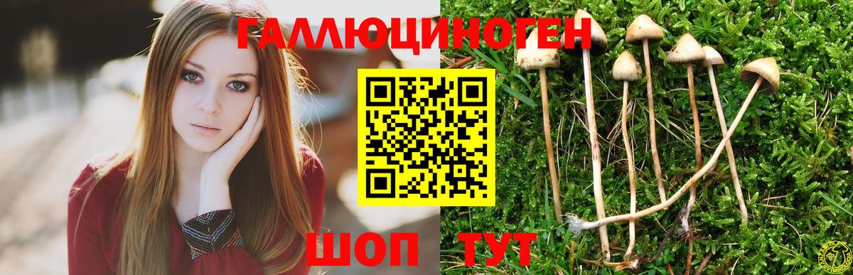 Коряжма  Псилоцибиновые грибы мухоморы  Вход с VPN 