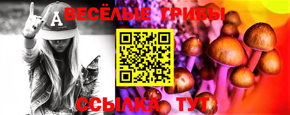 Галлюциногенные грибы Psilocybe Коряжма